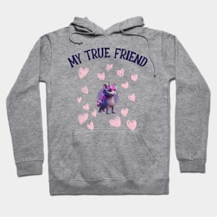 My true friend Hoodie